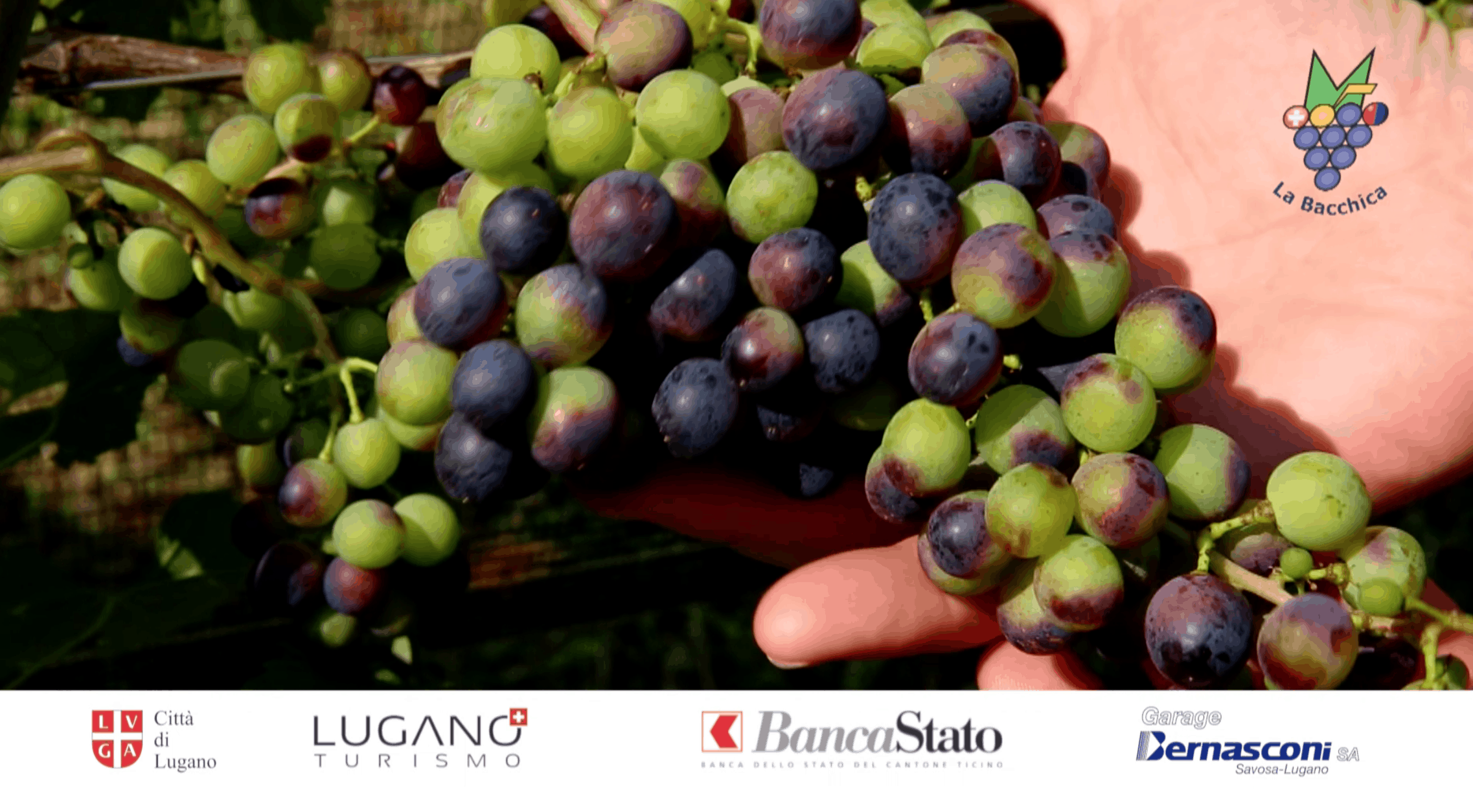 Schermata 2015-09-23 alle 23.40.54