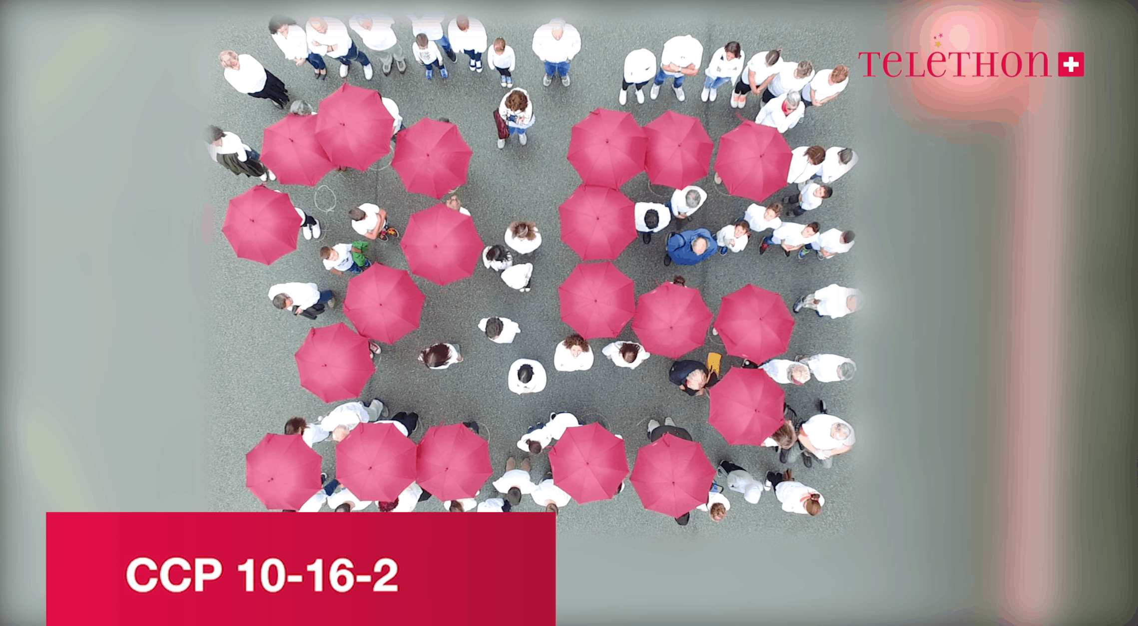 Schermata 2015-11-26 alle 23.38.45